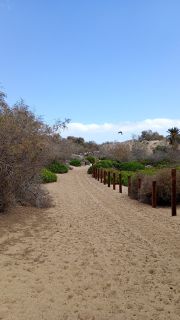 GC-Camello Safari (Maspalomas)-31.jpg